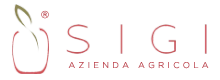 logo-SIGI-small.png