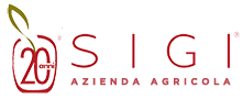 logo-SIGI-small-20anni.png