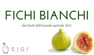 FICHI-BIANCHI.jpg